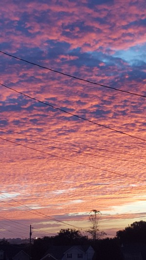 Red Sky Over Wires